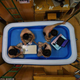 Illustration for article titled Every Dorm Room Should Come With an Inflatable Pool
